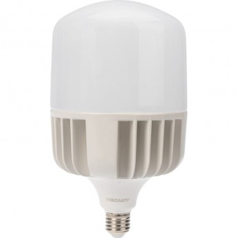 Лампа светодиодная REXANT 100Вт E27 (+переходник E40) 9500Лм AC140~265В 6500K высокомощная
