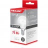 Лампа светодиодная REXANT ШАРИК (GL) 9,5Вт E14 903Лм 6500K холодный свет 604-207