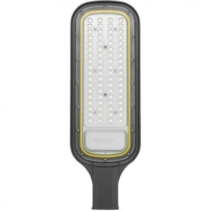 Светодиодный консольный светильник REXANT ДКУ 03-100-5000К-Ш-C IP65 черный 607-309